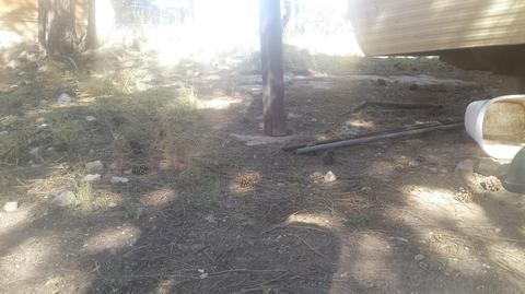 3554 Broken Arrow Rd, Overgaard, AZ 85933 photo 11