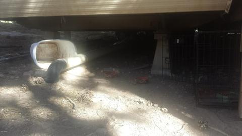 3554 Broken Arrow Rd, Overgaard, AZ 85933 photo 10
