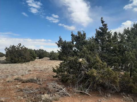 4681 Garibaldi Rd, Snowflake, AZ 85937 photo 6
