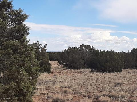 4681 Garibaldi Rd, Snowflake, AZ 85937 photo 7