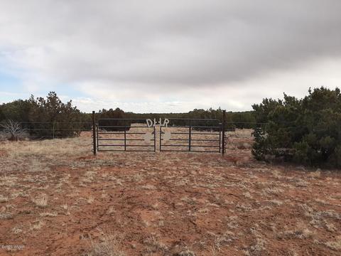 4681 Garibaldi Rd, Snowflake, AZ 85937 photo 1