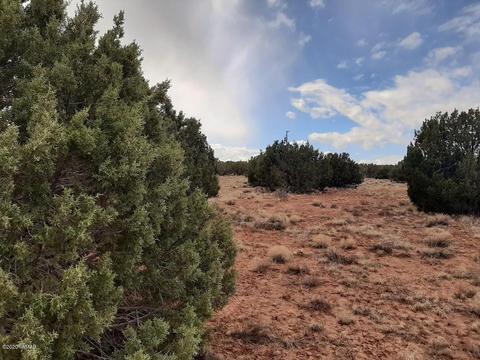 4681 Garibaldi Rd, Snowflake, AZ 85937 photo 3