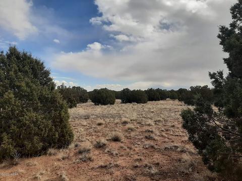 4681 Garibaldi Rd, Snowflake, AZ 85937 photo 8
