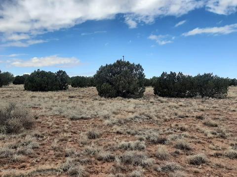 4681 Garibaldi Rd, Snowflake, AZ 85937 photo 13