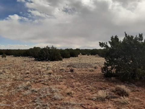4681 Garibaldi Rd, Snowflake, AZ 85937 photo 4