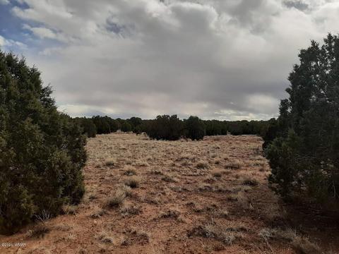 4681 Garibaldi Rd, Snowflake, AZ 85937 photo 5