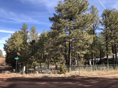 2128 Pony Rd, Overgaard, AZ 85933 photo 3