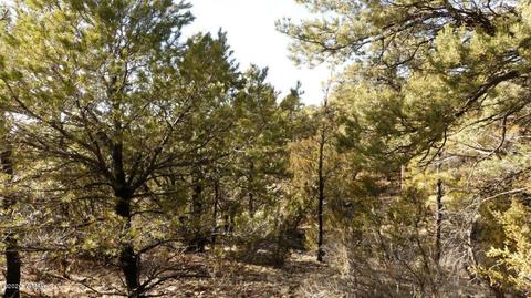 3506 Rae Cir, Overgaard, AZ 85933 photo 7