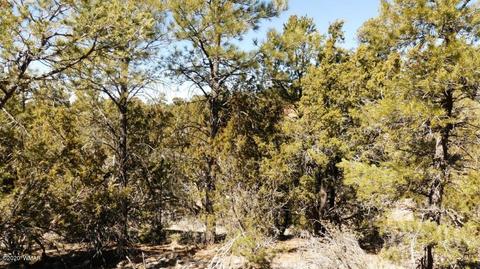3506 Rae Cir, Overgaard, AZ 85933 photo 9