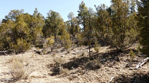 3506 Rae Cir, Overgaard, AZ 85933 photo 4