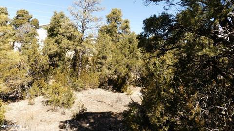 3506 Rae Cir, Overgaard, AZ 85933 photo 6