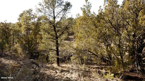 3506 Rae Cir, Overgaard, AZ 85933 photo 8