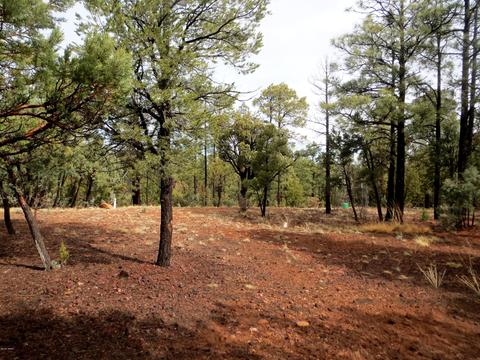 2286 Thunderbird Way, Overgaard, AZ 85933 photo 1