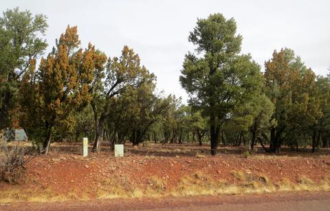 2286 Thunderbird Way, Overgaard, AZ 85933 photo 2