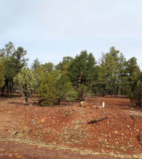 2286 Thunderbird Way, Overgaard, AZ 85933 photo 9