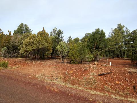 2286 Thunderbird Way, Overgaard, AZ 85933 photo 8
