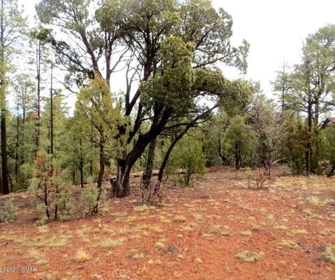 2286 Thunderbird Way, Overgaard, AZ 85933 photo 4