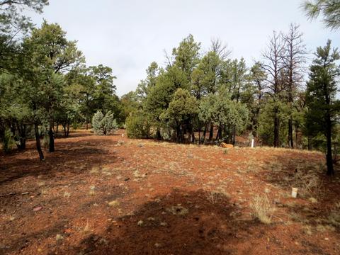 2286 Thunderbird Way, Overgaard, AZ 85933 photo 3