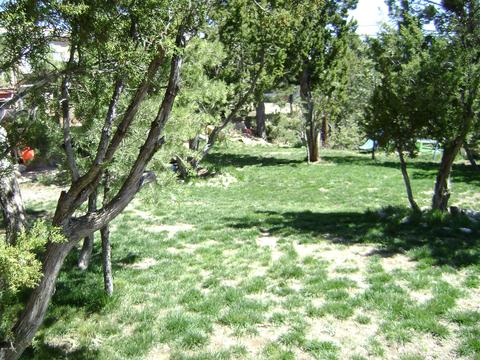 1995 Bradley Ln, Overgaard, AZ 85933 photo 4