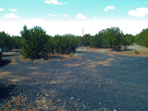 1 N8157, Concho, AZ 85924 photo 4