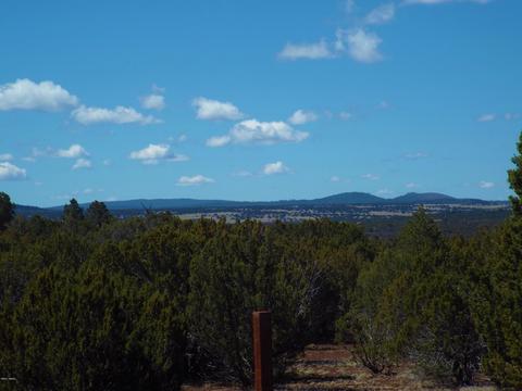 1 N8157, Concho, AZ 85924 photo 3