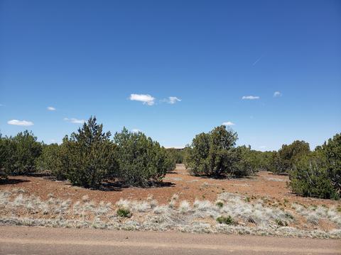 2624 Elk Run Loop, Show Low, AZ 85901 photo 1