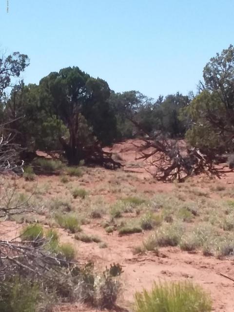 201 N9027, Concho, AZ 85924 photo 2