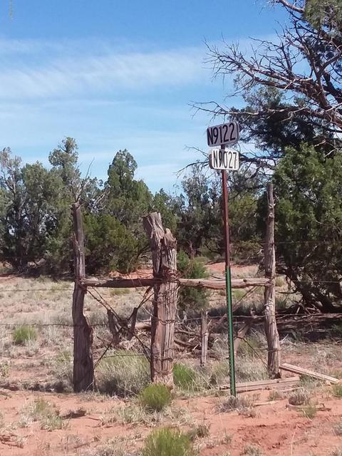 201 N9027, Concho, AZ 85924 photo 4
