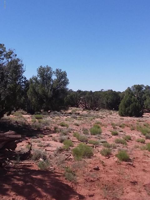 201 N9027, Concho, AZ 85924 photo 6