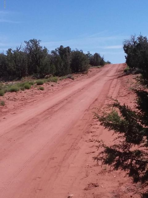 201 N9027, Concho, AZ 85924 photo 5