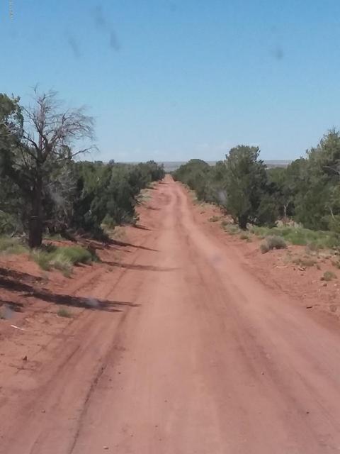 201 N9027, Concho, AZ 85924 photo 7