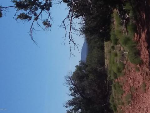 201 N9027, Concho, AZ 85924 photo 1