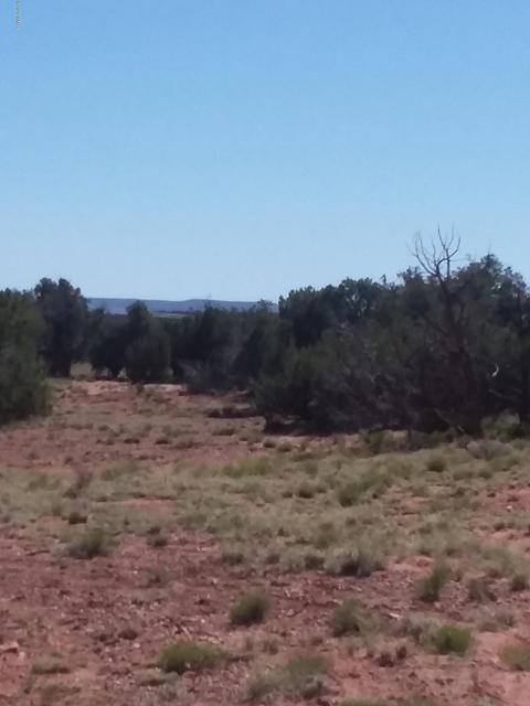 201 N9027, Concho, AZ 85924 photo 3