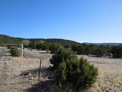 549 E 11th Ln, Eagar, AZ 85925 photo 59