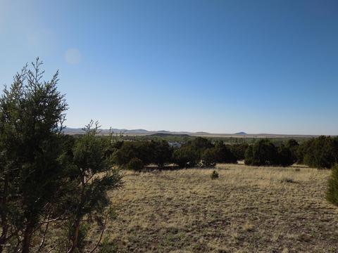 549 E 11th Ln, Eagar, AZ 85925 photo 58