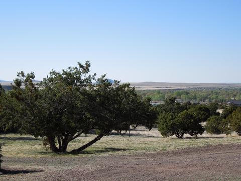 549 E 11th Ln, Eagar, AZ 85925 photo 53
