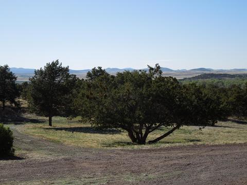 549 E 11th Ln, Eagar, AZ 85925 photo 51