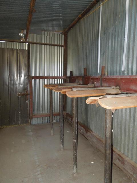 549 E 11th Ln, Eagar, AZ 85925 photo 38