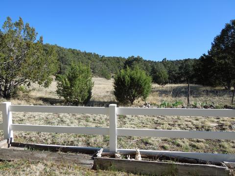 549 E 11th Ln, Eagar, AZ 85925 photo 40