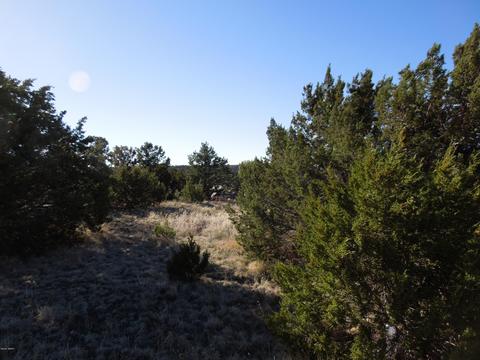 549 E 11th Ln, Eagar, AZ 85925 photo 61