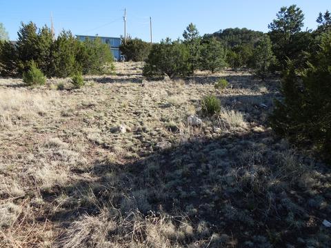 549 E 11th Ln, Eagar, AZ 85925 photo 60