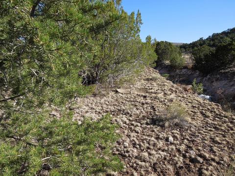 549 E 11th Ln, Eagar, AZ 85925 photo 63