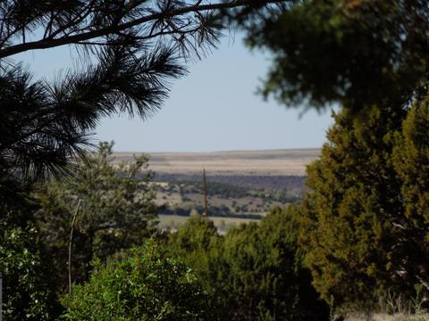 549 E 11th Ln, Eagar, AZ 85925 photo 44