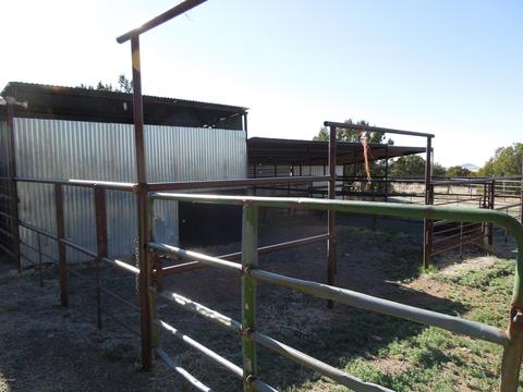 549 E 11th Ln, Eagar, AZ 85925 photo 35