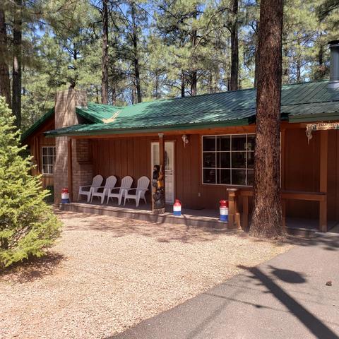 2178 N Woods Dr, Overgaard, AZ 85933 photo 23