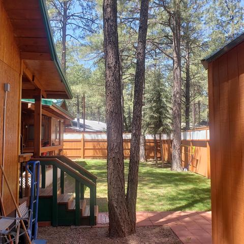 2178 N Woods Dr, Overgaard, AZ 85933 photo 22