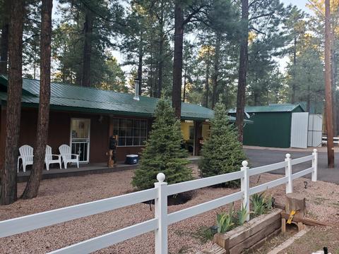 2178 N Woods Dr, Overgaard, AZ 85933 photo 1
