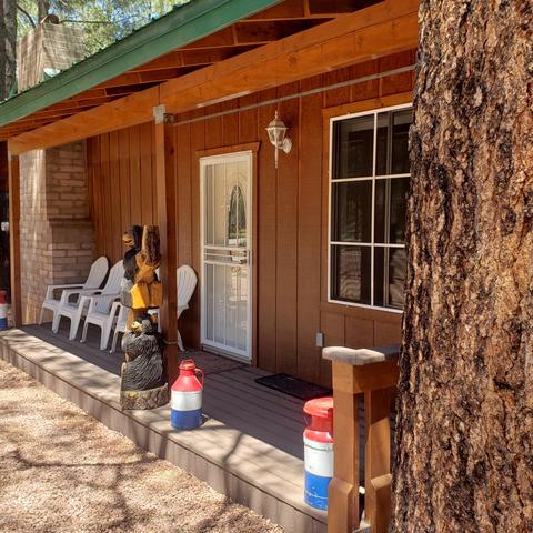 2178 N Woods Dr, Overgaard, AZ 85933 photo 4
