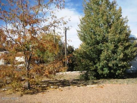 2720 C St, Overgaard, AZ 85933 photo 28