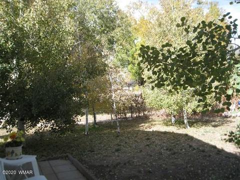 2720 C St, Overgaard, AZ 85933 photo 29